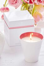 Sophie Conran Wax Fill Strength