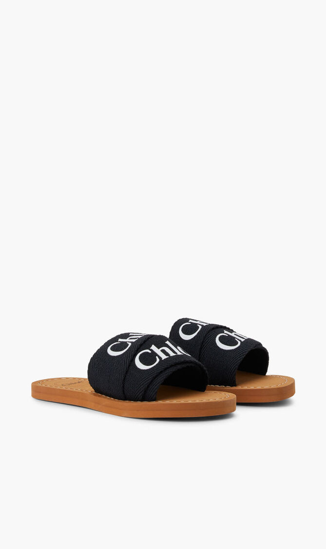 AQUA SLIDES