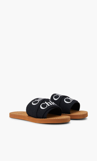 AQUA SLIDES