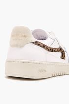 Dice A Sneakers Dice A Sneakers