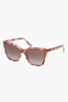 Square Sunglasses