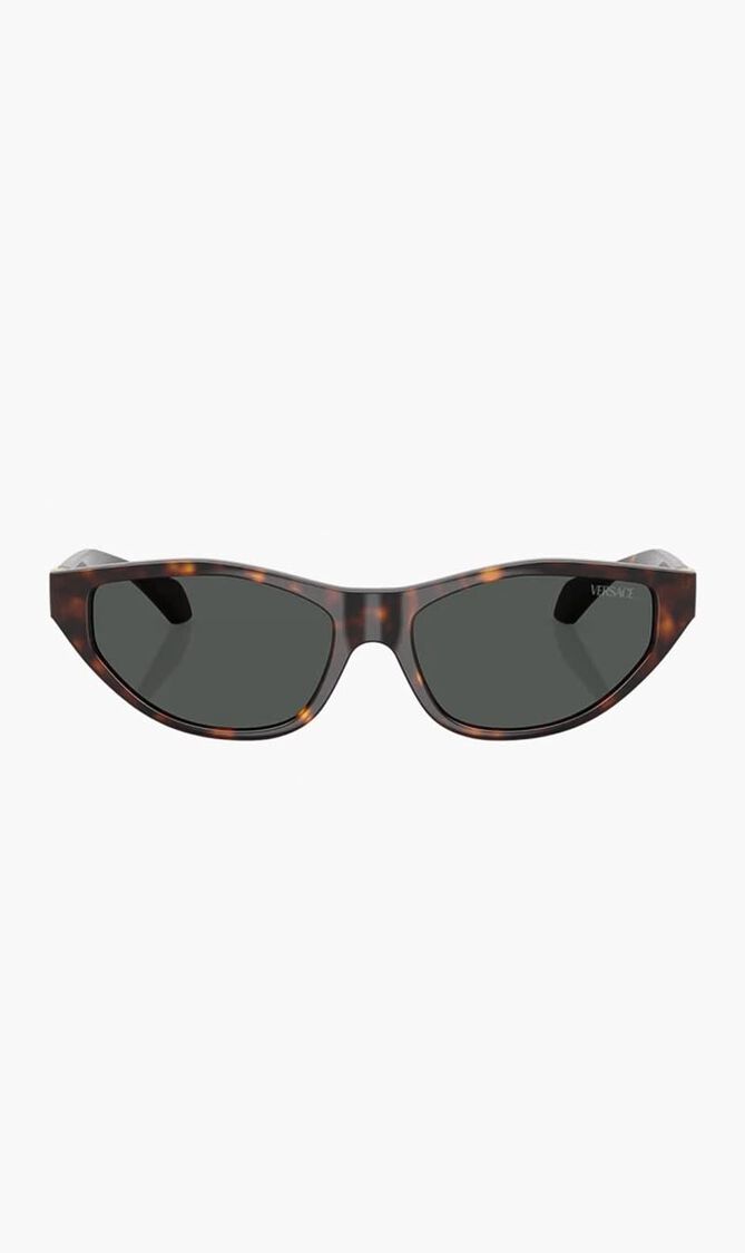 Havana Sunglasses