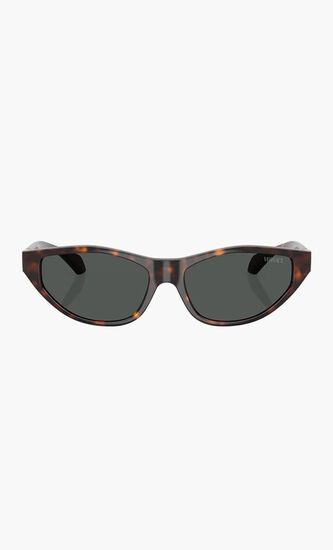 Havana Sunglasses