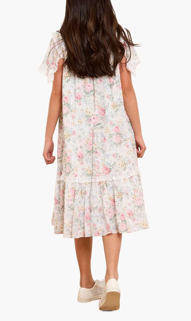Pompadour Garden Chiffon Lace Dress