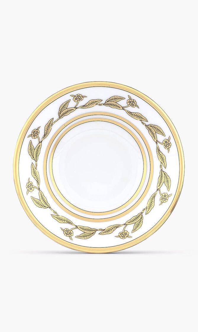 RDG VOLIERE COFFEE SAUCER CM 11 IN. 2 3/4 IMPERO SHAPE FOR ALL COFFEE CUPS VOLIERE CRUISE