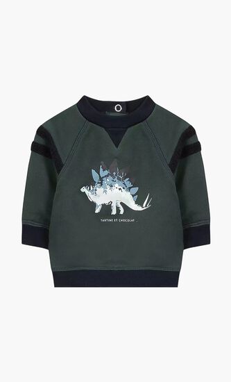 Dinosaur Baby Boy Sweatshirt