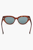 Havana Sunglasses