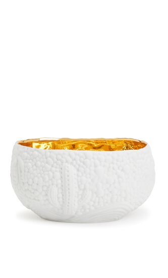 LOB HAAS MOJAVE DESSERT WHITE+GOLD