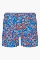 Carapaces Multicolored Swim Shorts