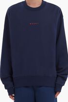 Organic Cotton Sweatshirt