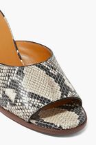 MULES, ETERNAL GREY, WESTERN
