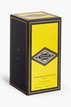 Gingembre Pétillant Eau de Parfum, 100 ml