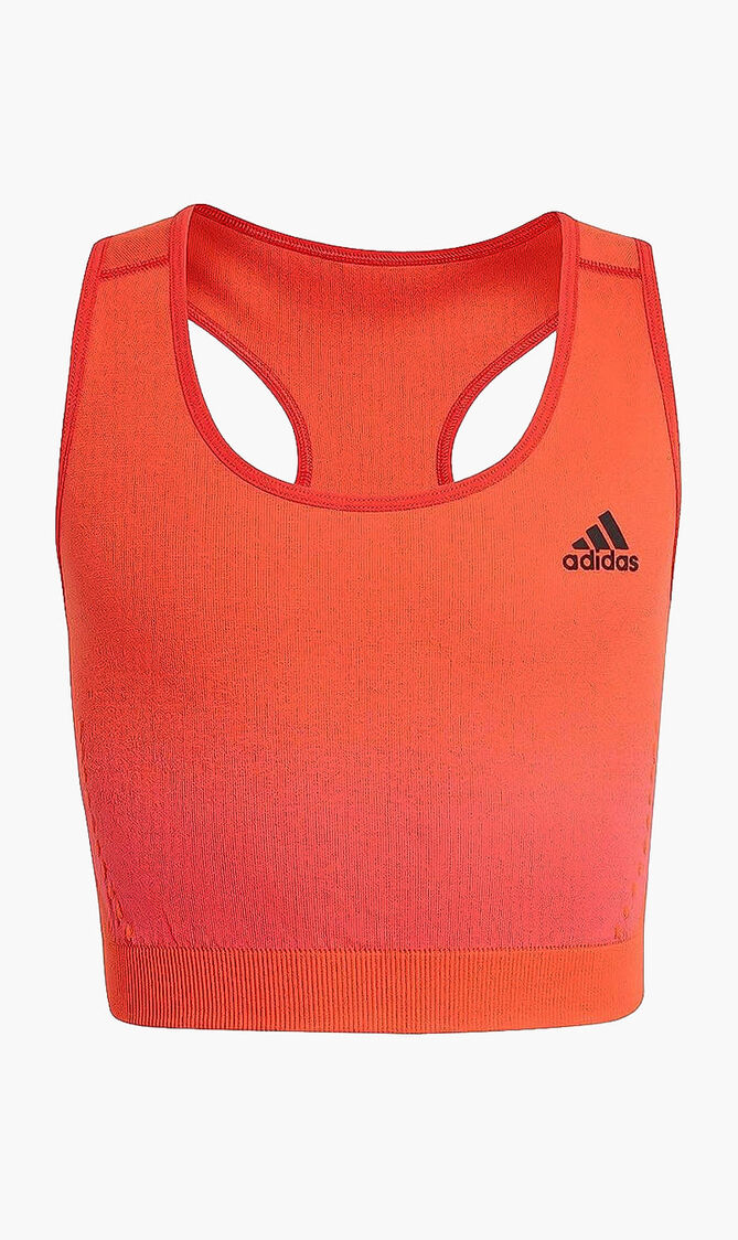 Stretchable Sports Bra