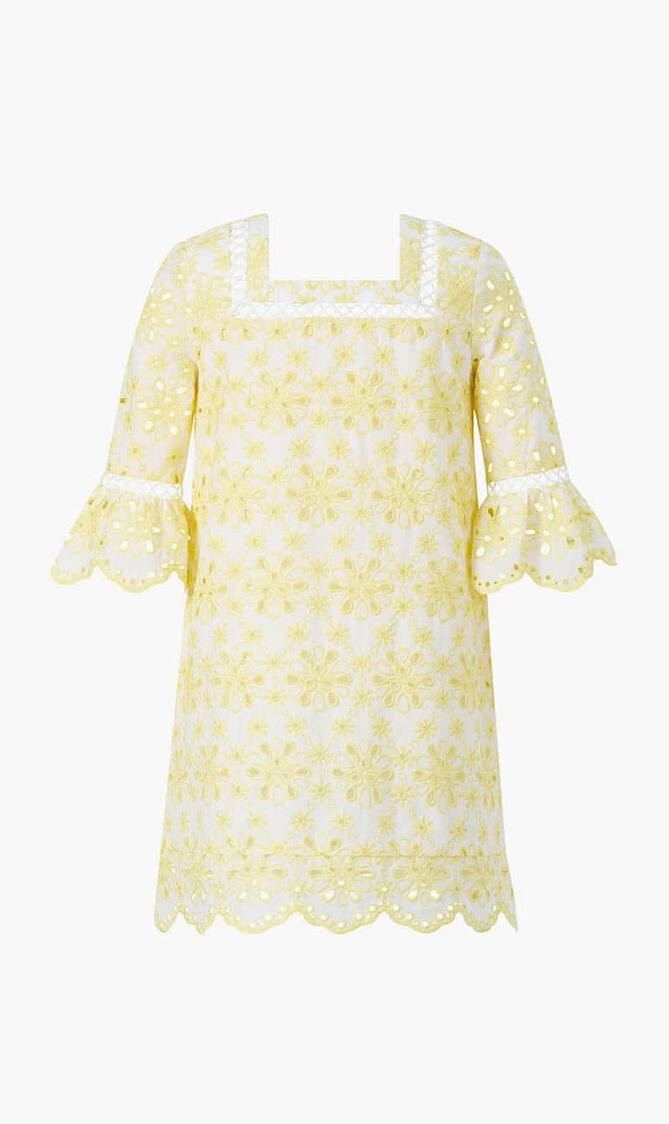 Nora Embroidered Mini Dress