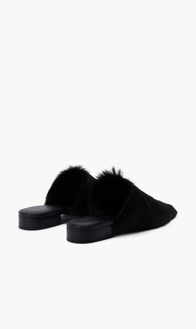 SELESTINA F SELESTINA F