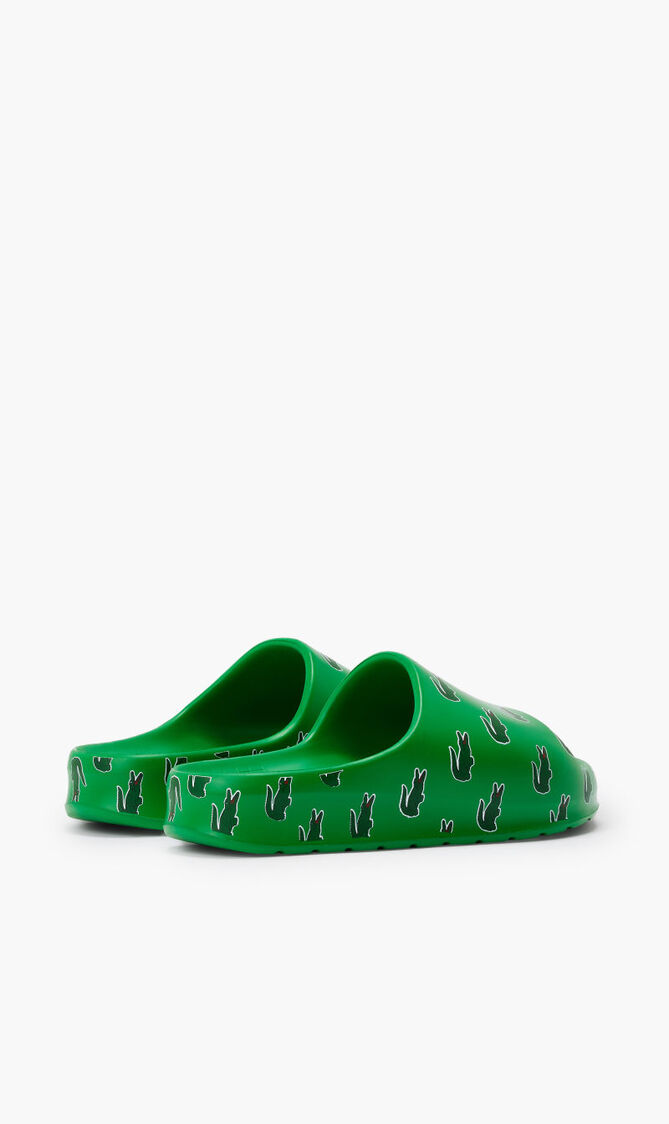 Serve Slides Serve Slides