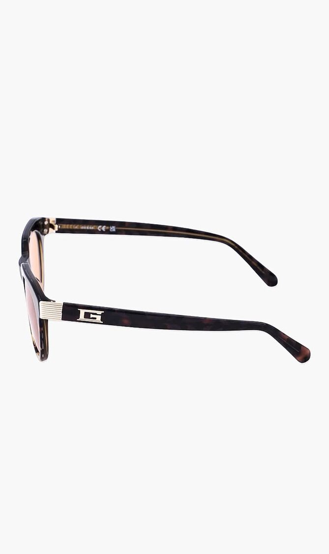 Havana Sunglasses