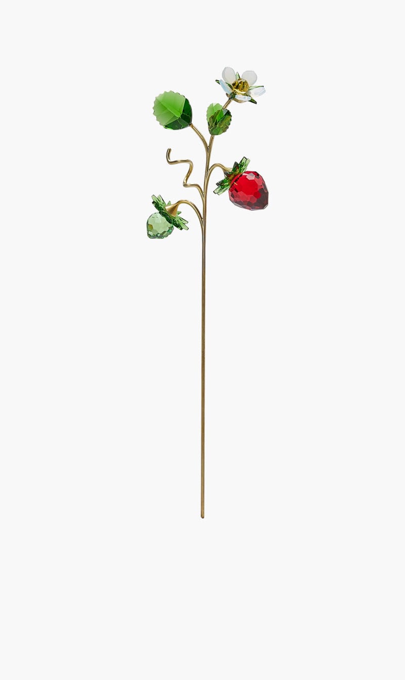 Buy SWAROVSKI CL GARDEN TALES WILD STRAWBERRY for AED 125.00 | The