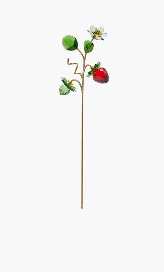 CL GARDEN TALES WILD STRAWBERRY