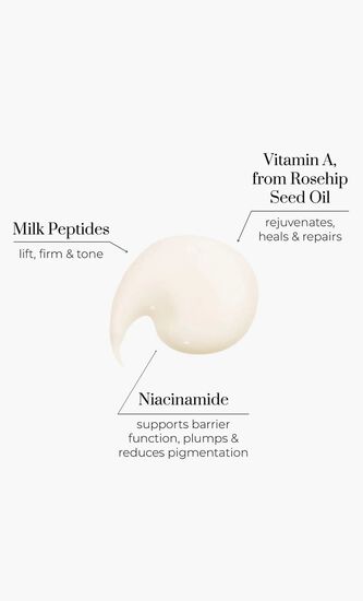 NUTRI ACTIVE DAY CREAM