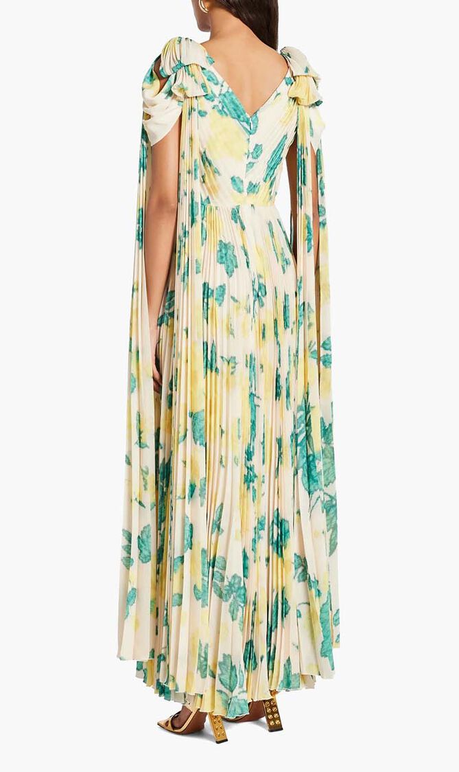 Printed Maxi Dress