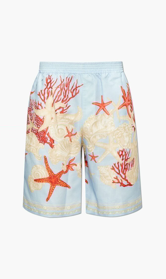 Canvas Blend Linen Shorts