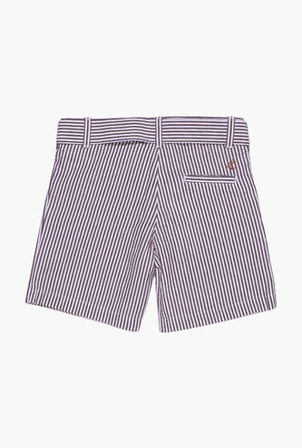 Stripes Shorts