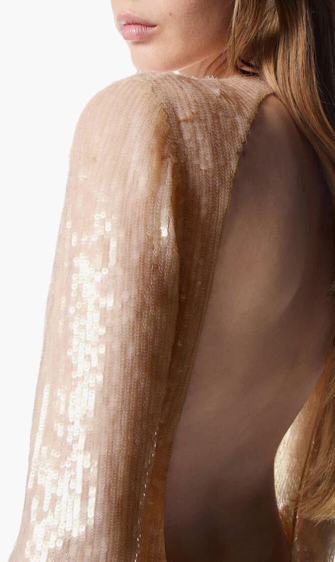 Transparent Sequin Embroidery Cocktail Mini Dress