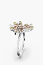 SJC ETERNAL FLOWER RING ORAYE/MIX 55MM