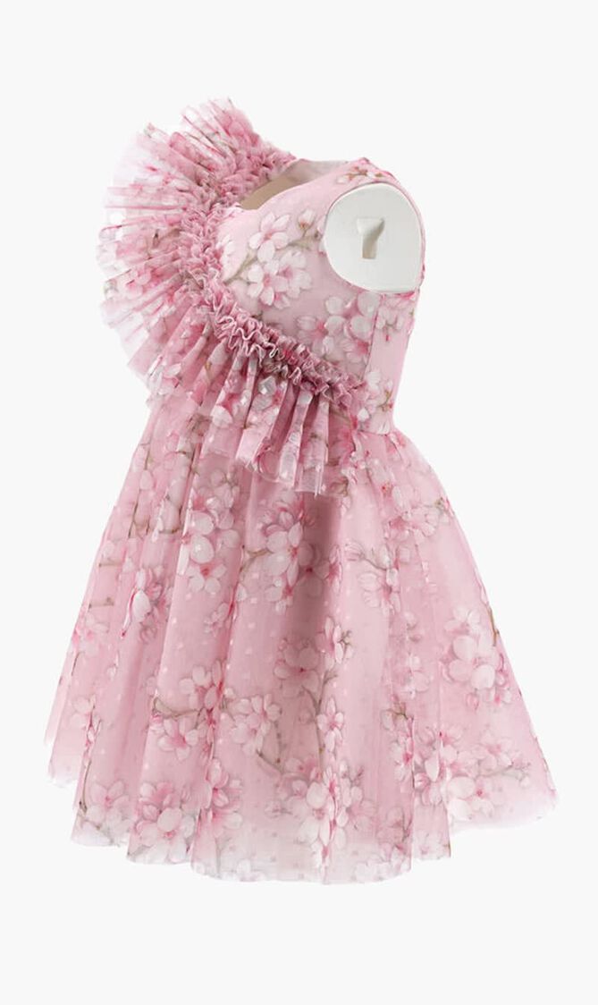 Tulle Birthday Dress