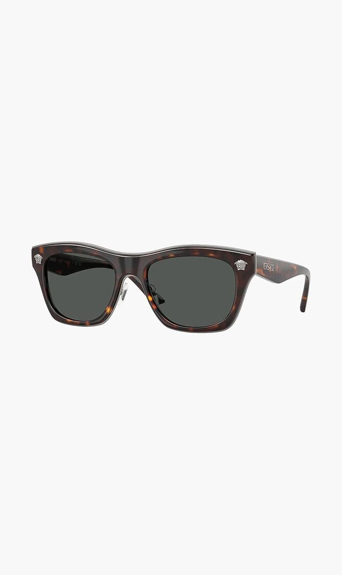 Havana Sunglasses