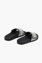 Crystal Canvas Slides Crystal Canvas Slides