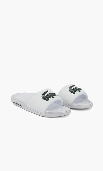 Classic Logo Slides