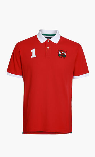 Classic Fit Short Sleeves Polo
