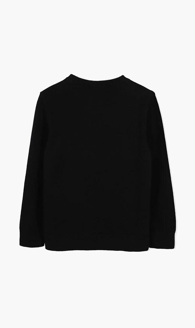 Logo Pullover
