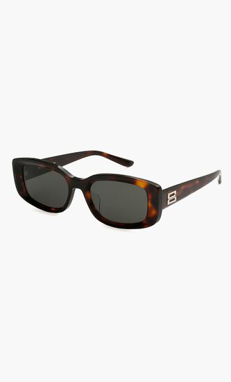 Havana Sunglasses