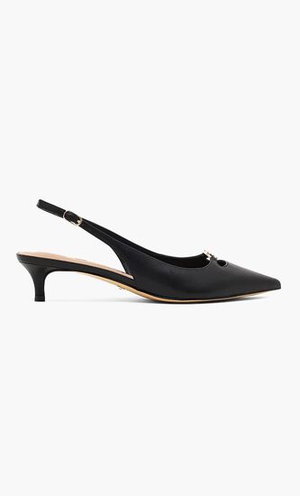 Pointed Toe Slingback
