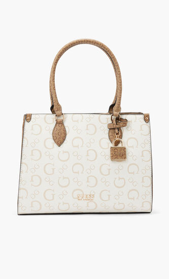 OAK PARK CARRYALL