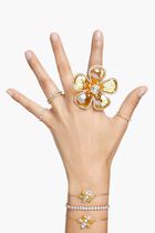 SJC MATRIX TB S CANYE/GOS S