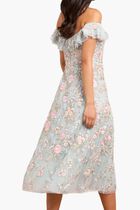 Antoinettes Floral Off Shoulder Ballerina Dress