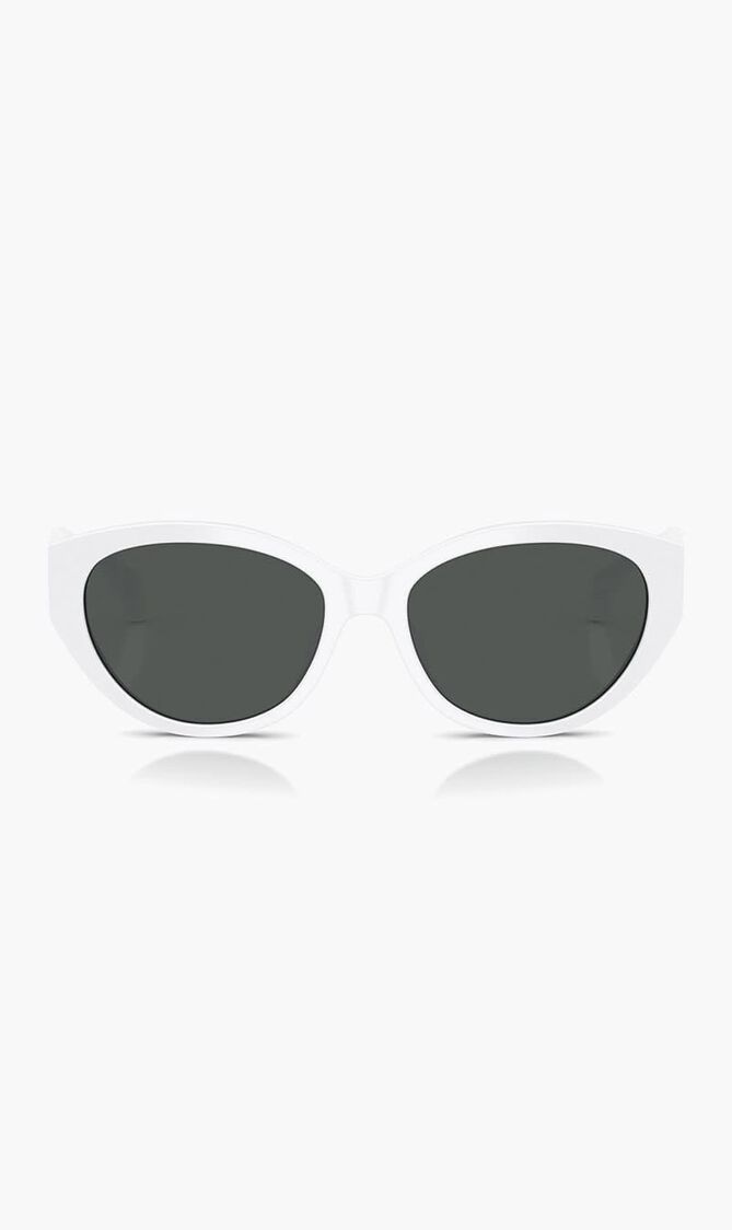 Oval Sunglasses