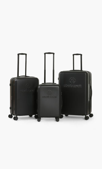 Lightweight Spinner Suitcase Set