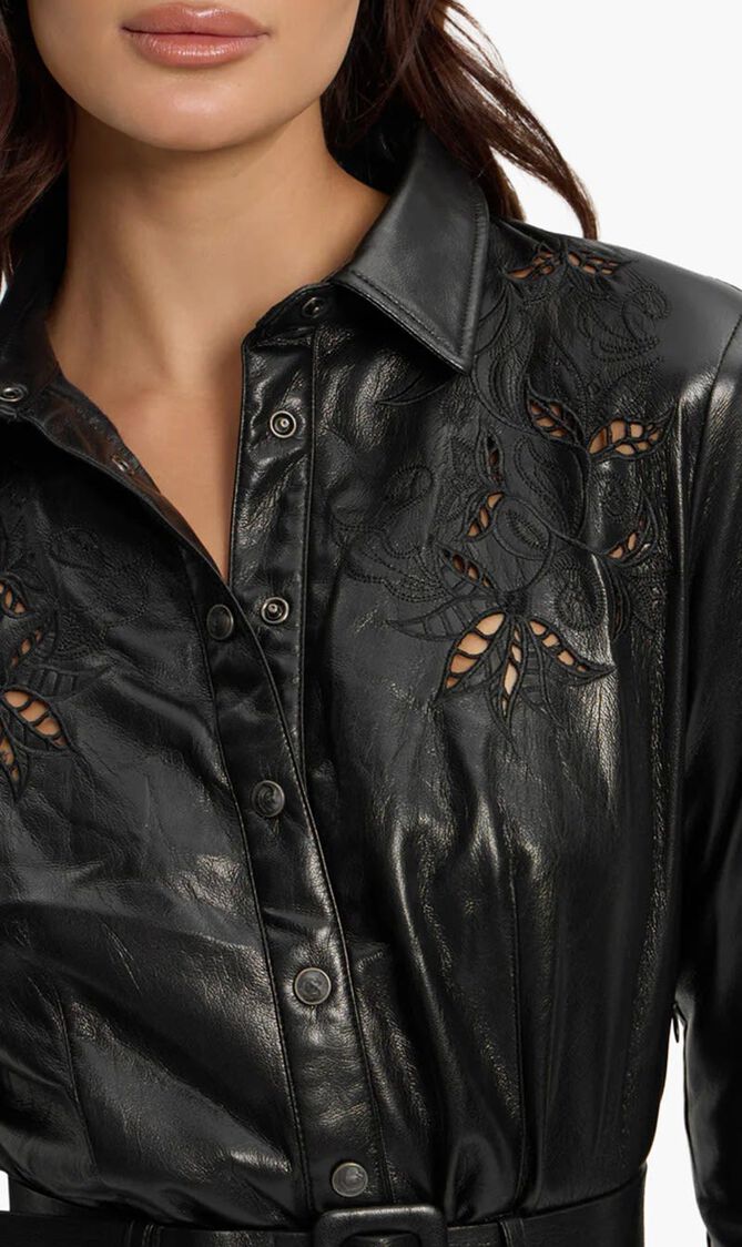 Gabrielle Embroidered Mini Dress