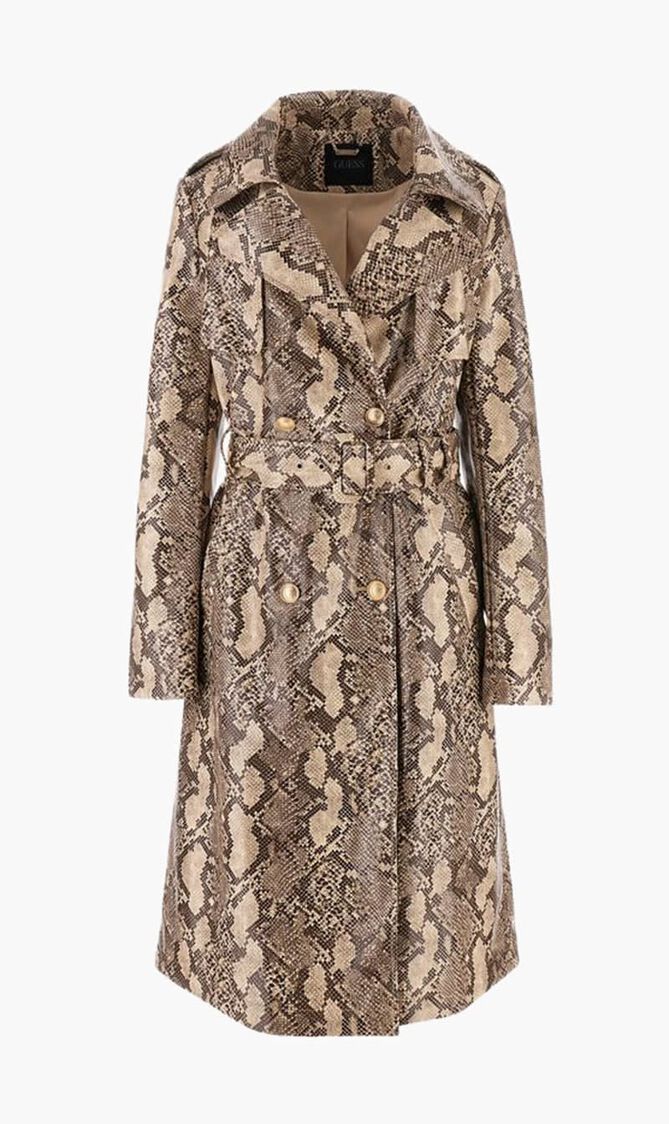 Python Print Coat