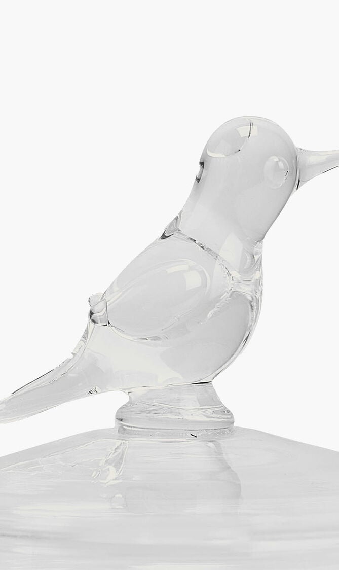 Tota Lota Pitcher