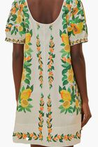 Salad Scarf Mini Dress