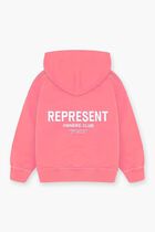 Mini Owners Club Hoodie