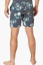 SWC Botanica Layday 18" Boardshorts Black