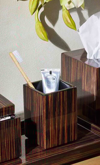 Macassar Ebony Brush Holder
