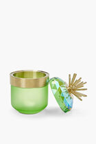 CL JUNGLE BEATS DECOR BOX LIGHT GREEN